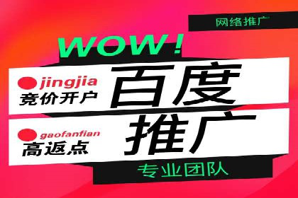 百度竞价包年推广效果：行业领先企业的成功之道